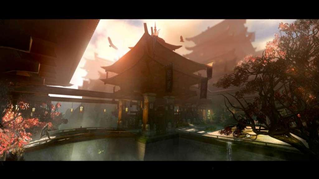 Age of Conan: Hyborian Conqueror Collection Digital Download CD Key