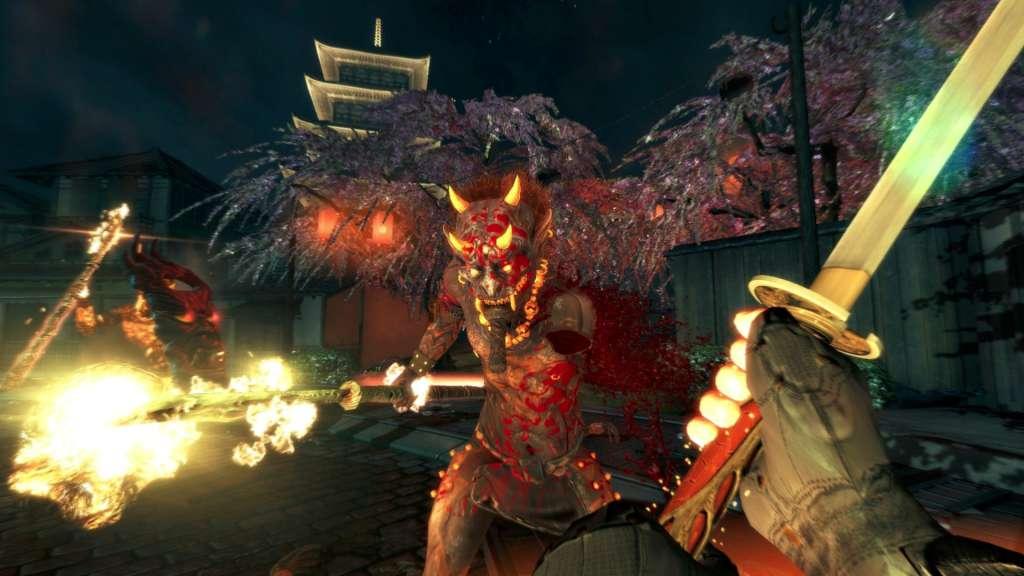 Shadow Warrior Special Edition Steam Gift