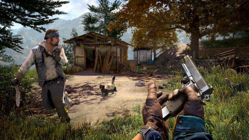 Far Cry 4 Steam Altergift