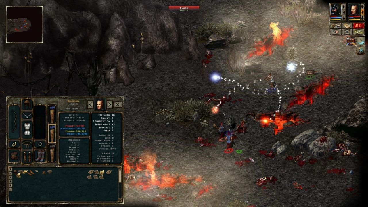 Divinity: Original Sin 2 Eternal Edition Steam Altergift