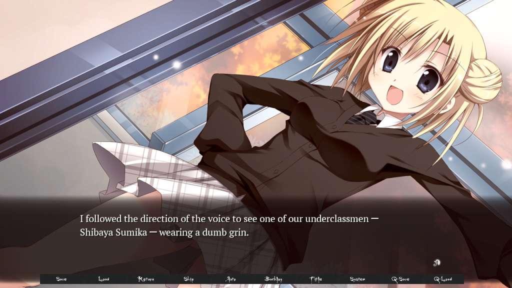 Miniature Garden Steam CD Key