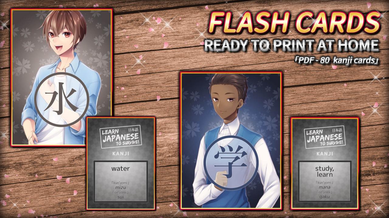 Learn Japanese To Survive! Kanji Combat - Flash Cards DLC Steam CD Key