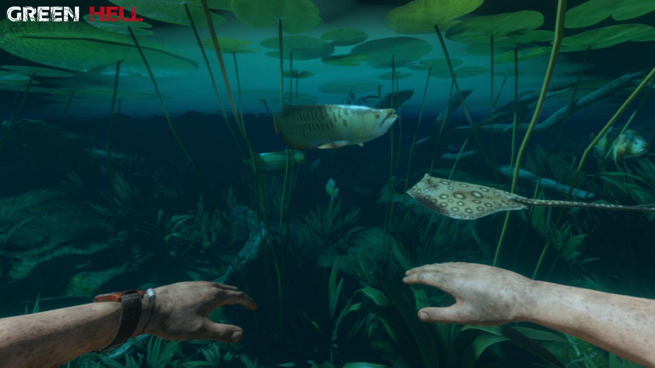 Green Hell Steam CD Key