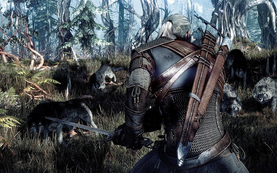 The Witcher 3: Wild Hunt GOTY Edition EU Steam Altergift