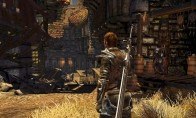 Divinity II: Developer's Cut GOG CD Key