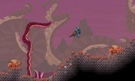 Starbound Steam Gift
