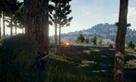PLAYERUNKNOWN'S BATTLEGROUNDS RU VPN Activated Steam CD Key