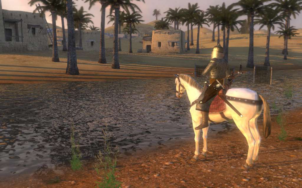   Mount And Blade Warband   -  8