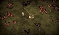 Don't Starve Together Steam Gift