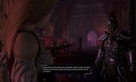 Divinity II: Developer's Cut GOG CD Key