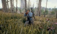 PLAYERUNKNOWN'S BATTLEGROUNDS Steam CD Key